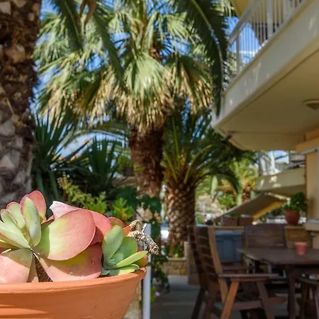 Erifili At & Szárti