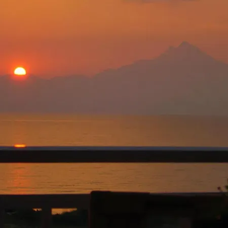 Erifili At & Daire *